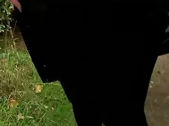 Đập cô gái mông phim ...