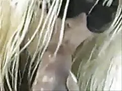 Marty và phim phá tr ...