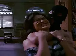 Con lừa phong cách đ ...