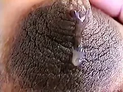 Lớn tổ chức một phim ...